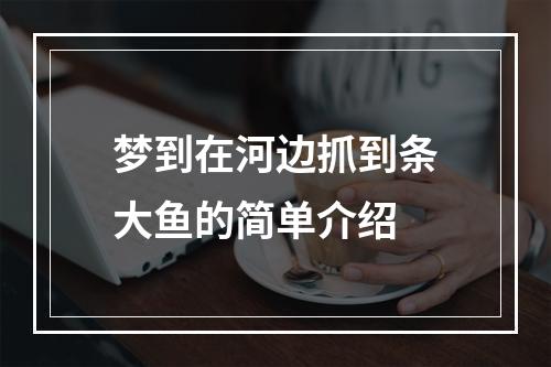 梦到在河边抓到条大鱼的简单介绍