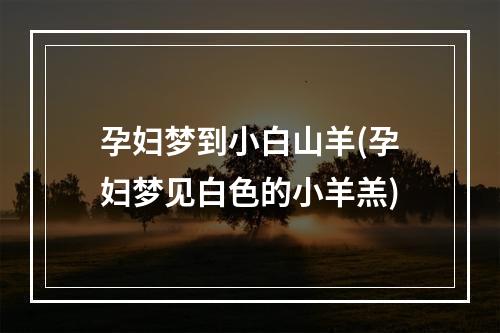 孕妇梦到小白山羊(孕妇梦见白色的小羊羔)