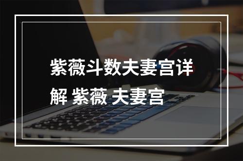 紫薇斗数夫妻宫详解 紫薇 夫妻宫