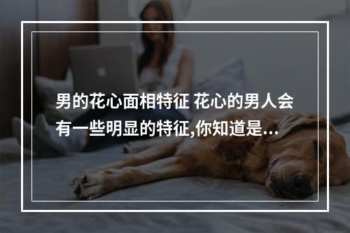 男的花心面相特征 花心的男人会有一些明显的特征,你知道是哪些吗?