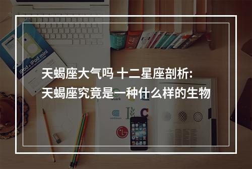 天蝎座大气吗 十二星座剖析:天蝎座究竟是一种什么样的生物