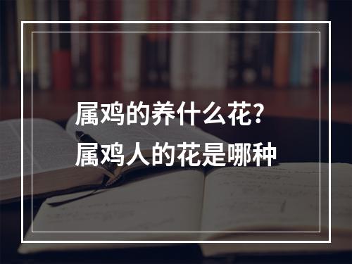 属鸡的养什么花? 属鸡人的花是哪种
