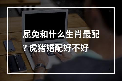 属兔和什么生肖最配? 虎猪婚配好不好