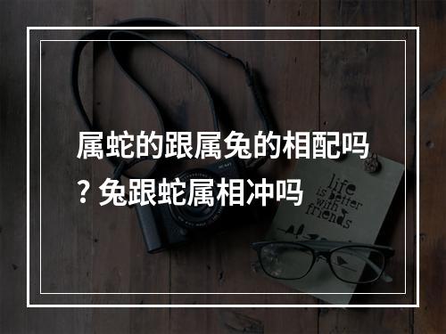 属蛇的跟属兔的相配吗? 兔跟蛇属相冲吗