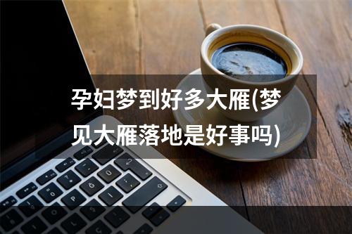 孕妇梦到好多大雁(梦见大雁落地是好事吗)