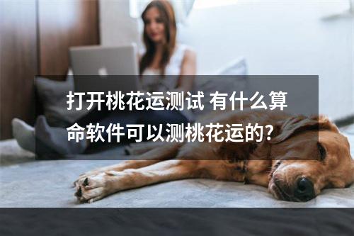 打开桃花运测试 有什么算命软件可以测桃花运的?