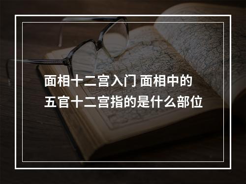 面相十二宫入门 面相中的五官十二宫指的是什么部位