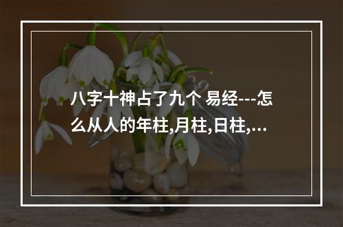 八字十神占了九个 易经---怎么从人的年柱,月柱,日柱,时柱看十神