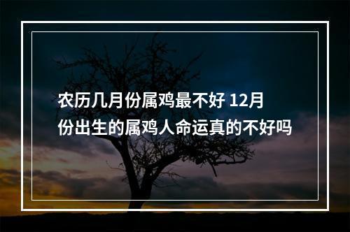 农历几月份属鸡最不好 12月份出生的属鸡人命运真的不好吗