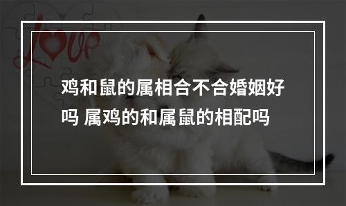 鸡和鼠的属相合不合婚姻好吗 属鸡的和属鼠的相配吗