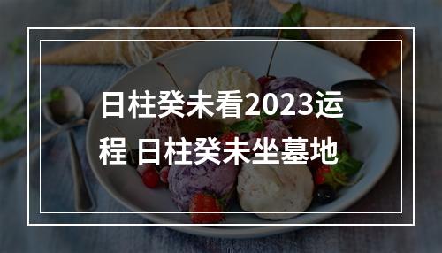 日柱癸未看2023运程 日柱癸未坐墓地