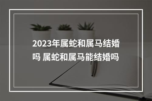2023年属蛇和属马结婚吗 属蛇和属马能结婚吗