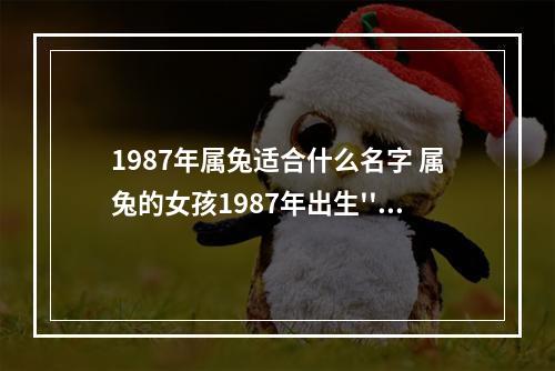 1987年属兔适合什么名字 属兔的女孩1987年出生''取个什么名字招财呢?
