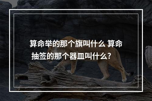 算命举的那个旗叫什么 算命 抽签的那个器皿叫什么?