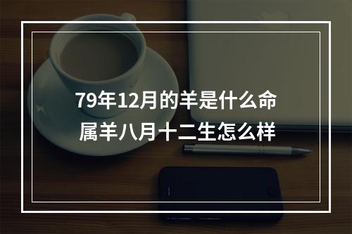 79年12月的羊是什么命 属羊八月十二生怎么样