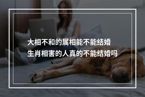 大相不和的属相能不能结婚 生肖相害的人真的不能结婚吗