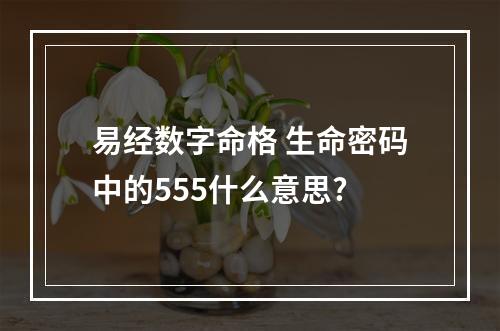 易经数字命格 生命密码中的555什么意思?