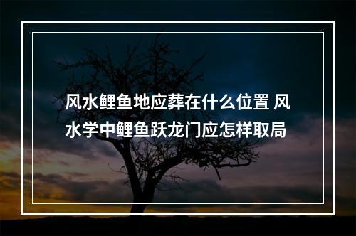 风水鲤鱼地应葬在什么位置 风水学中鲤鱼跃龙门应怎样取局