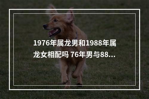 1976年属龙男和1988年属龙女相配吗 76年男与88年女婚配如何