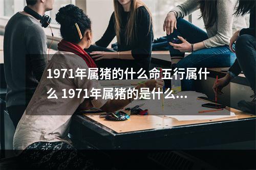 1971年属猪的什么命五行属什么 1971年属猪的是什么命?