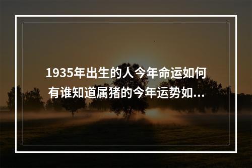 1935年出生的人今年命运如何 有谁知道属猪的今年运势如何?