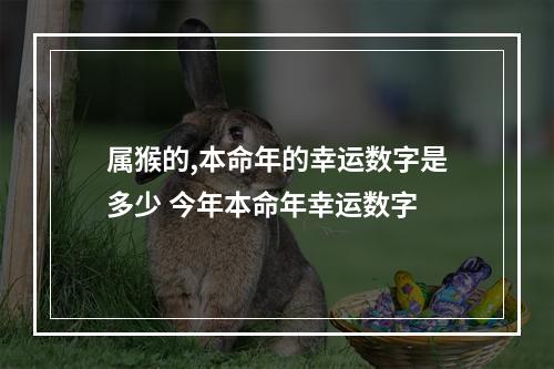 属猴的,本命年的幸运数字是多少 今年本命年幸运数字