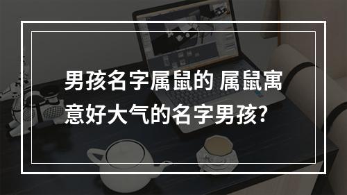 男孩名字属鼠的 属鼠寓意好大气的名字男孩?