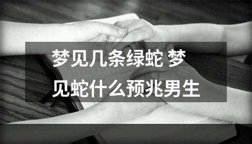 梦见几条绿蛇 梦见蛇什么预兆男生