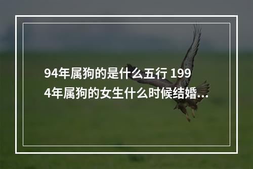 94年属狗的是什么五行 1994年属狗的女生什么时候结婚好