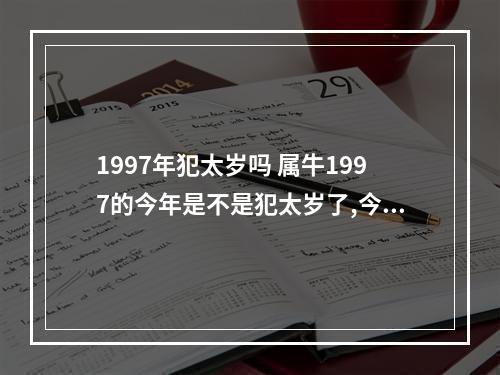 1997年犯太岁吗 属牛1997的今年是不是犯太岁了,今年一直很倒霉