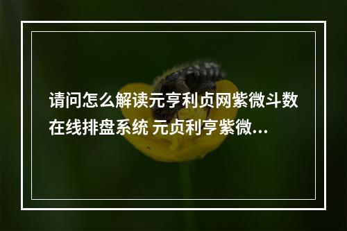 请问怎么解读元亨利贞网紫微斗数在线排盘系统 元贞利亨紫微斗数在线排盘