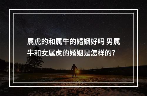 属虎的和属牛的婚姻好吗 男属牛和女属虎的婚姻是怎样的?