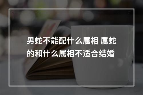 男蛇不能配什么属相 属蛇的和什么属相不适合结婚