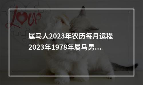 属马人2023年农历每月运程 2023年1978年属马男运势