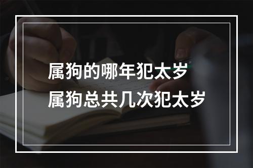 属狗的哪年犯太岁 属狗总共几次犯太岁