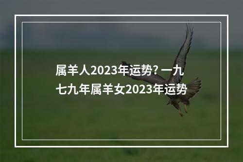 属羊人2023年运势? 一九七九年属羊女2023年运势