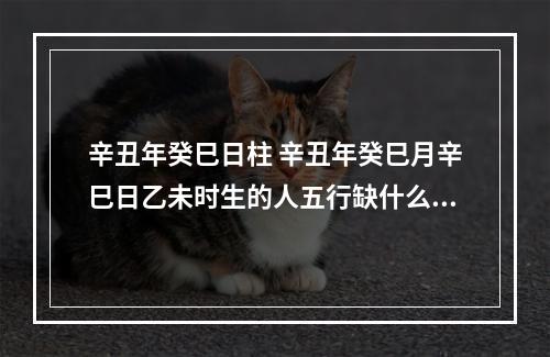 辛丑年癸巳日柱 辛丑年癸巳月辛巳日乙未时生的人五行缺什么?
