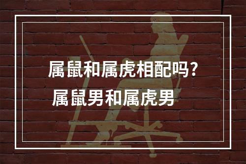 属鼠和属虎相配吗? 属鼠男和属虎男