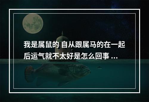 我是属鼠的 自从跟属马的在一起后运气就不太好是怎么回事 怎么... 属马遇到属鼠的会怎么样