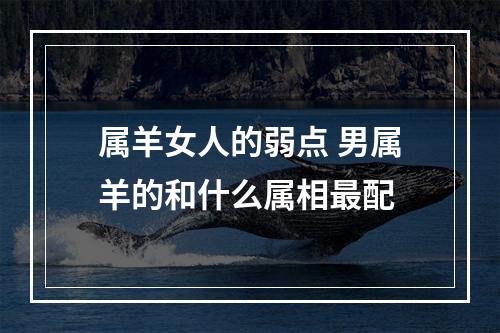 属羊女人的弱点 男属羊的和什么属相最配