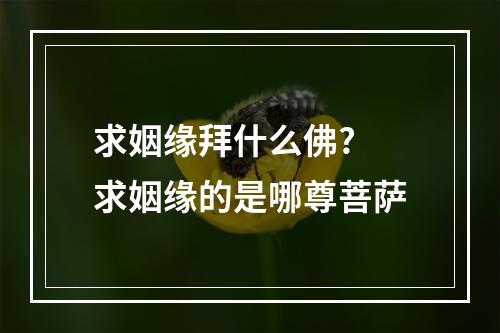 求姻缘拜什么佛? 求姻缘的是哪尊菩萨