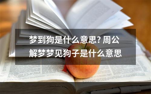 梦到狗是什么意思? 周公解梦梦见狗子是什么意思