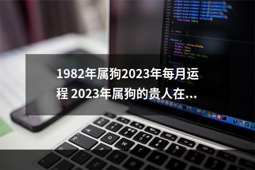 1982年属狗2023年每月运程 2023年属狗的贵人在哪方