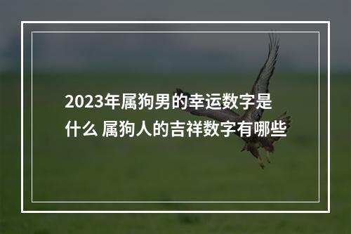 2023年属狗男的幸运数字是什么 属狗人的吉祥数字有哪些