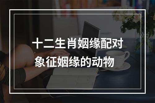 十二生肖姻缘配对 象征姻缘的动物