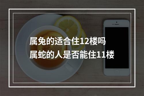 属兔的适合住12楼吗 属蛇的人是否能住11楼
