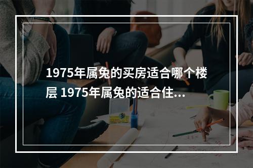 1975年属兔的买房适合哪个楼层 1975年属兔的适合住几楼层数