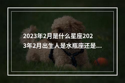 2023年2月是什么星座2023年2月出生人是水瓶座还是双鱼座 2023水逆拜拜水瓶座