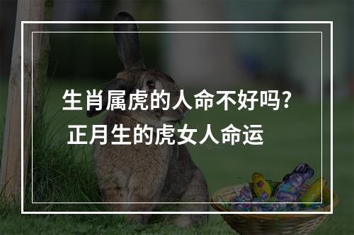 生肖属虎的人命不好吗? 正月生的虎女人命运