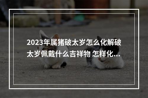 2023年属猪破太岁怎么化解破太岁佩戴什么吉祥物 怎样化解太岁2023